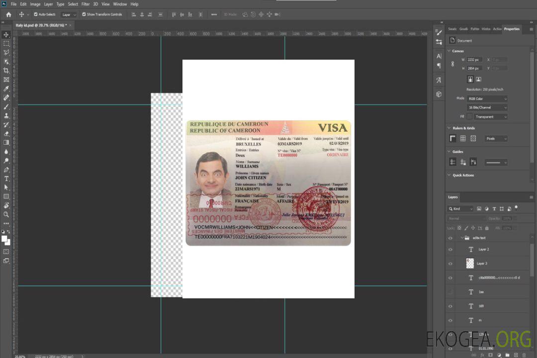 Visa CAMEROUN template Visa CAMEROUN template